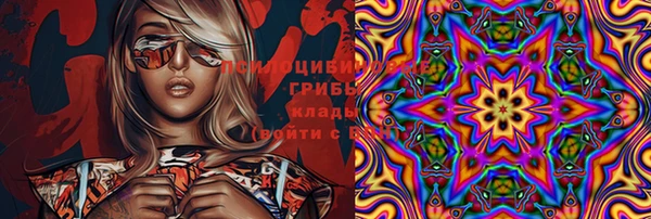 spice Баксан