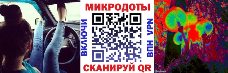 Галлюциногенные грибы Psilocybe Нестеров