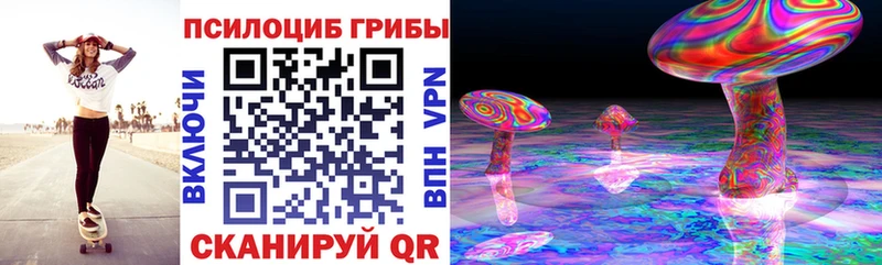 цена   Нестеров  Псилоцибиновые грибы Cubensis 